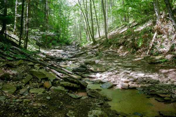 Trail 29