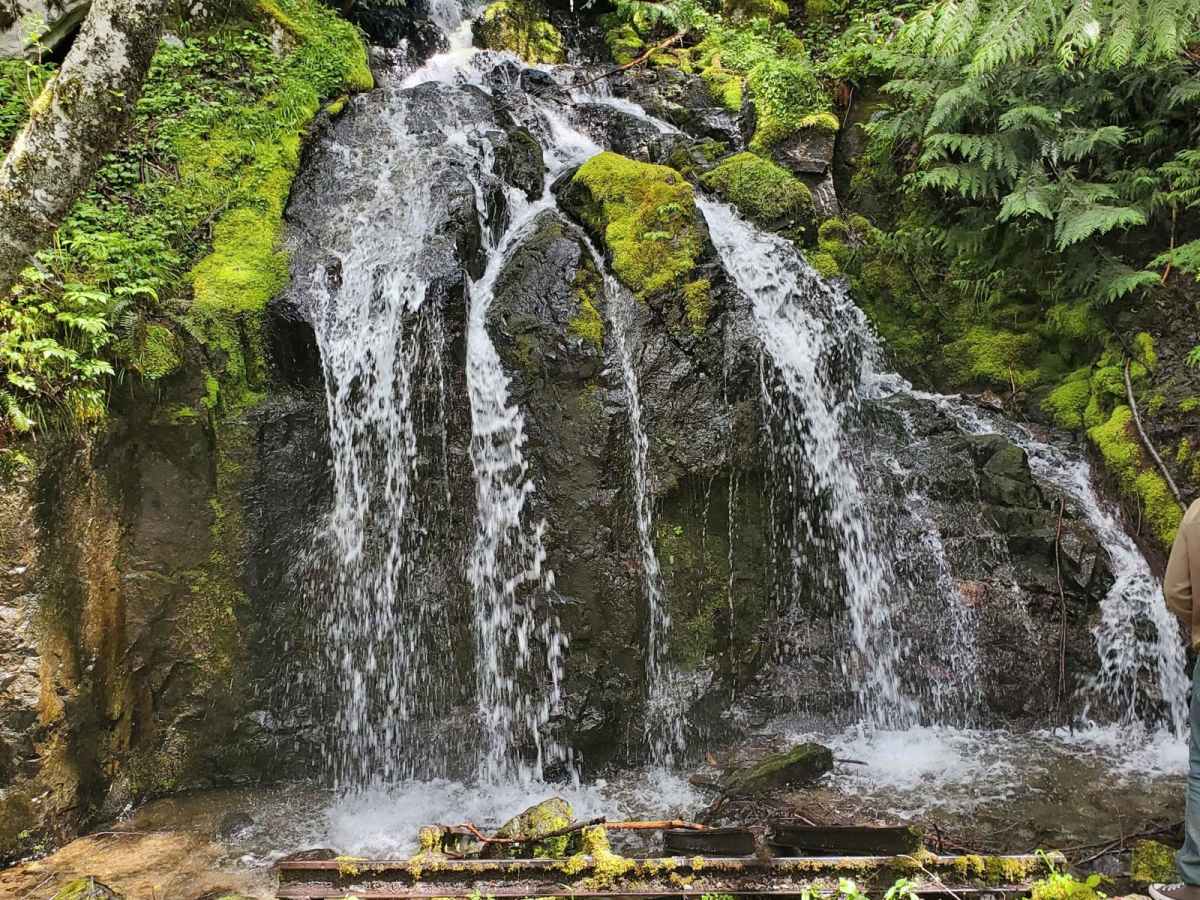 Davis Creek Trail trail photo