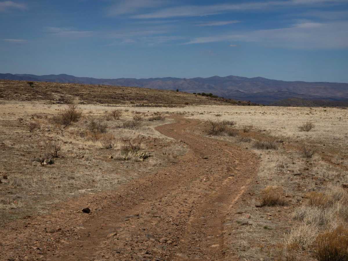 Volcanic Pastures photo 2