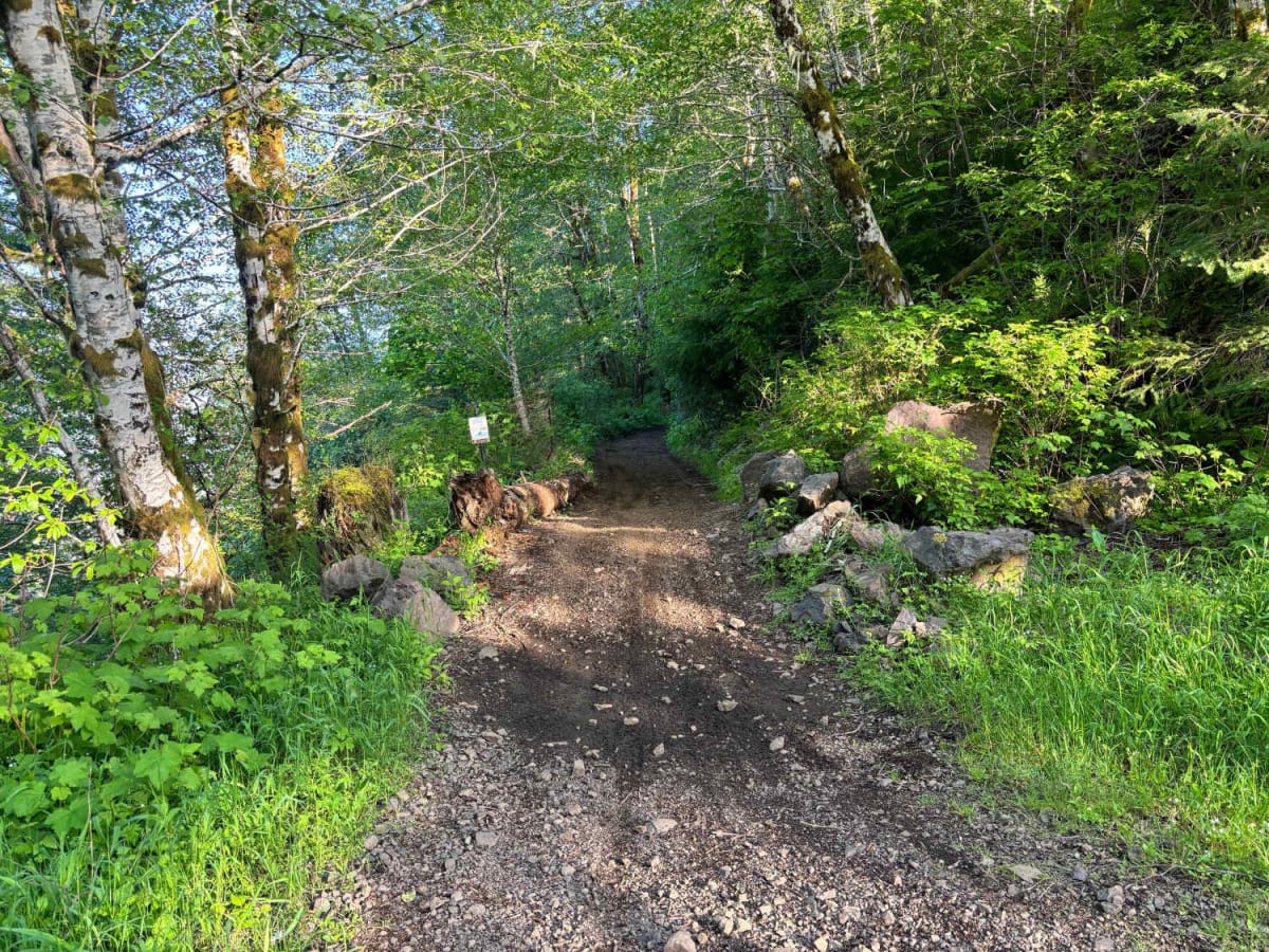 Jones Creek Road photo 5