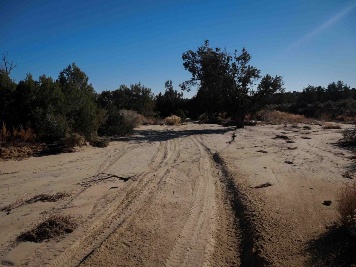 Sand Wash ATV photo 4