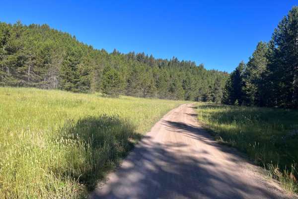 South Antelope Flat Road (20553)