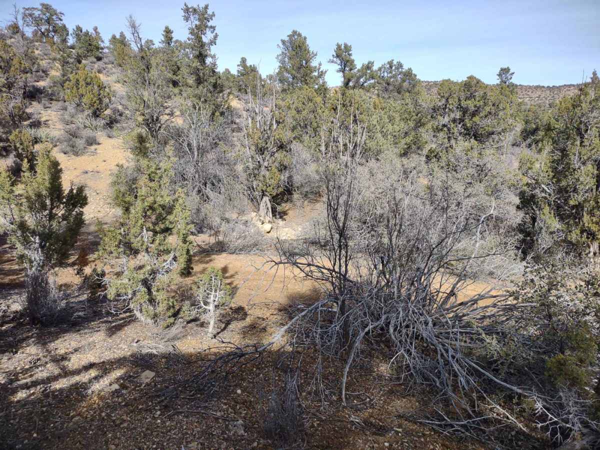 Leeds Cr-Cottonwood North Spur #30903 photo 4