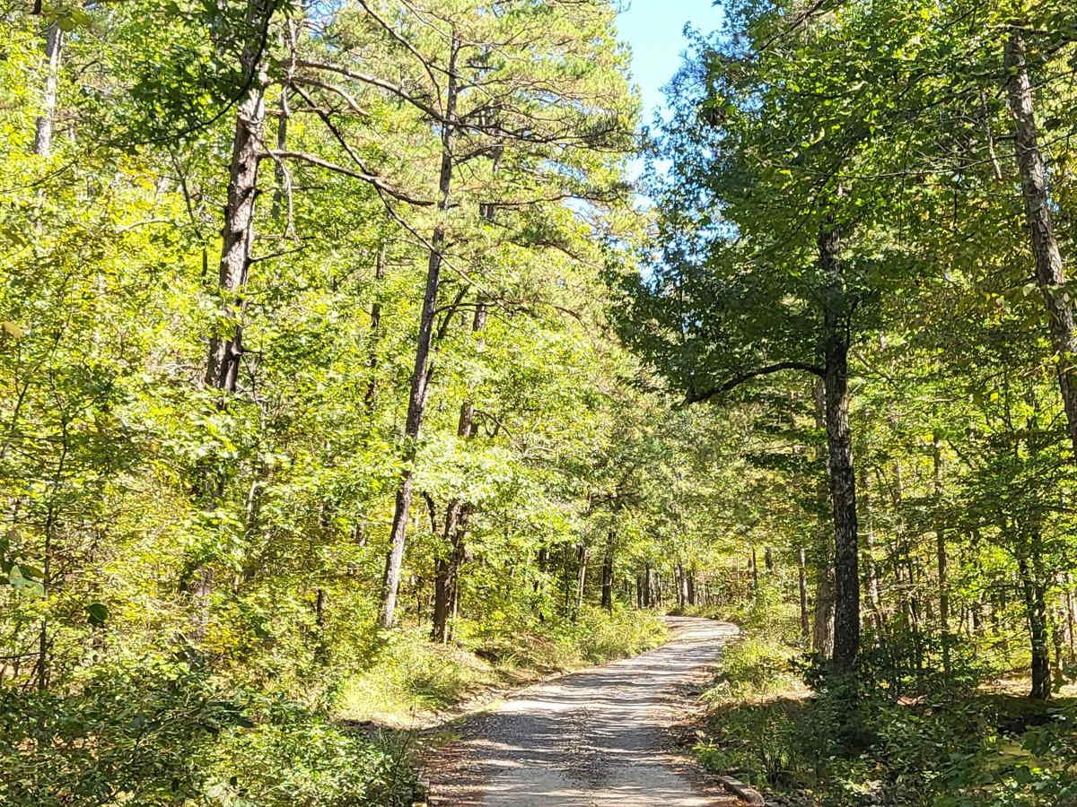Big Athens Fork photo 4