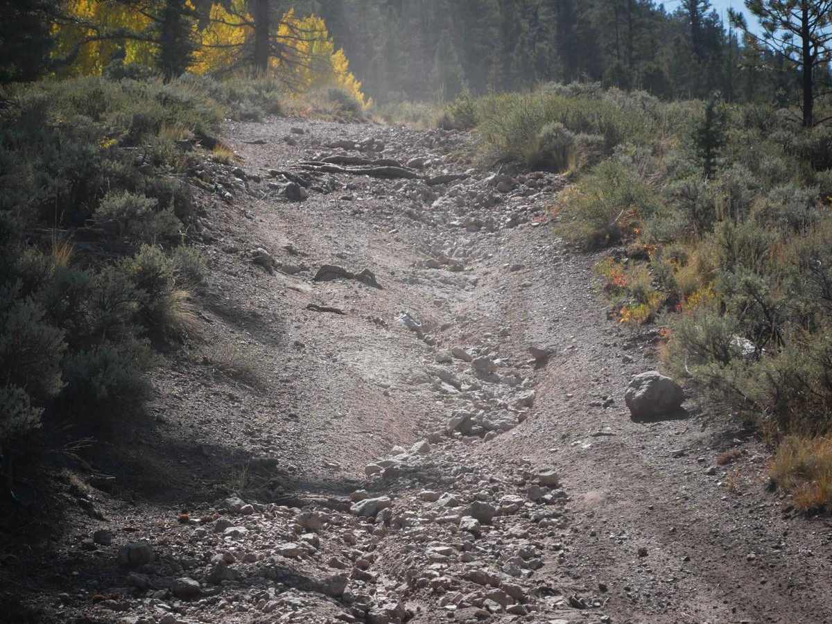 643 ATV Trail photo 3