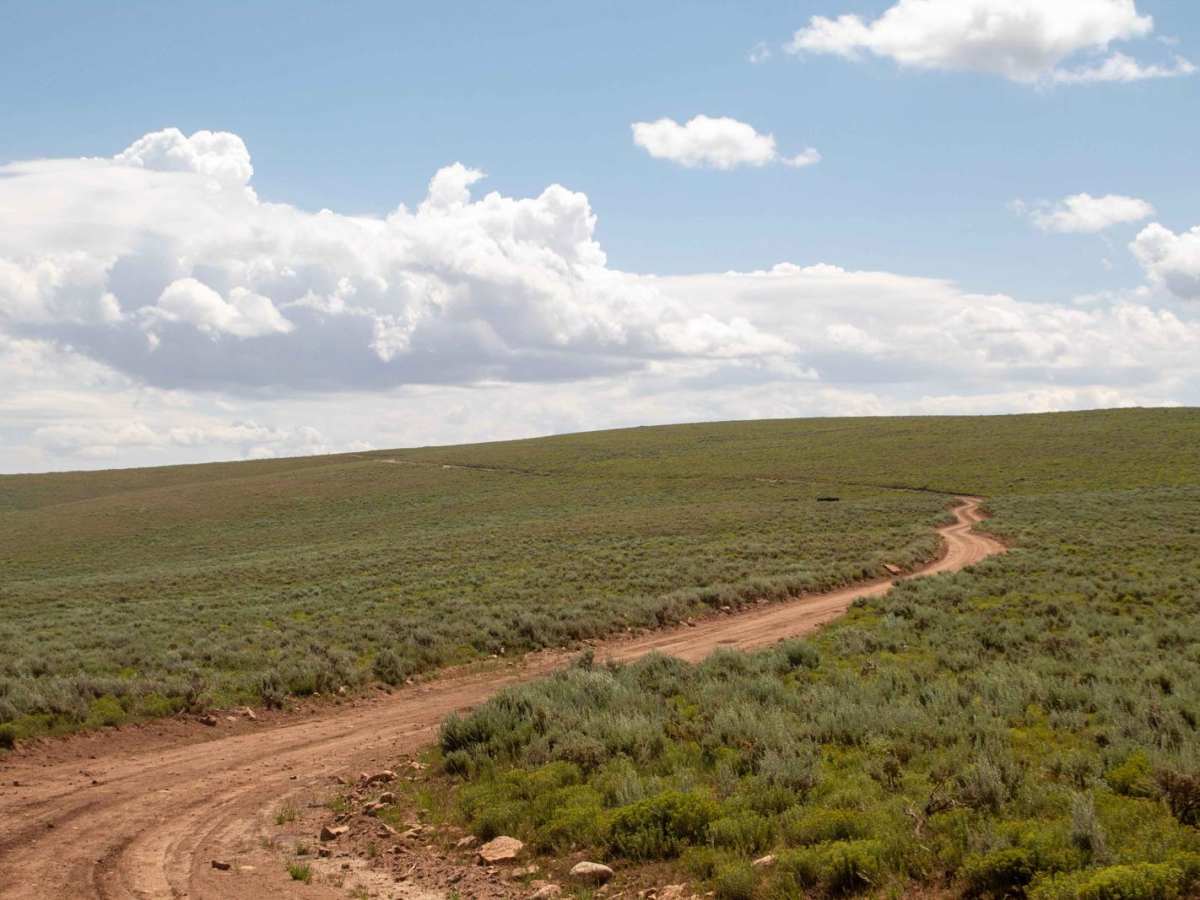 Millie Springs Road photo 6