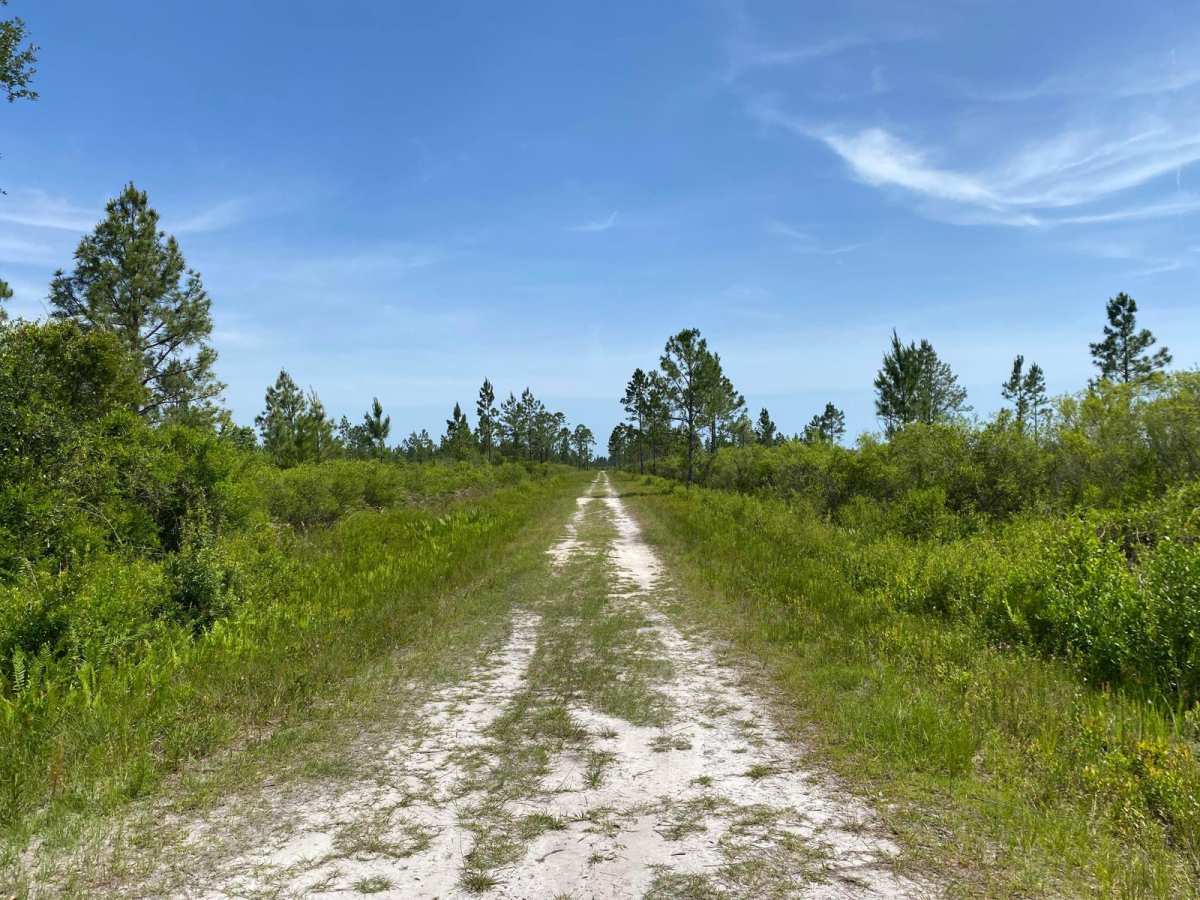 Road 2 photo 6