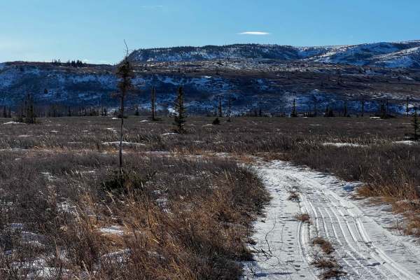 Jarvis Creek Loop