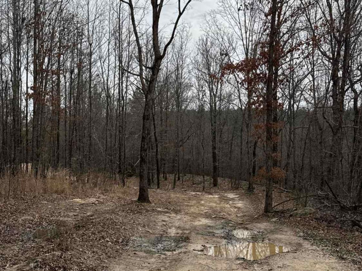 #71 Thompson Trail photo 6