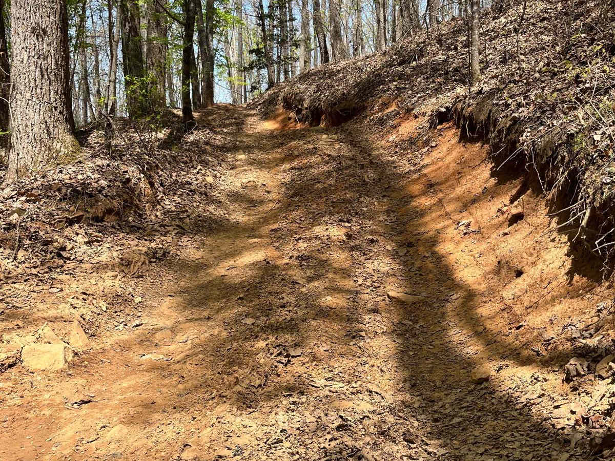 Beasley Knob trail photo