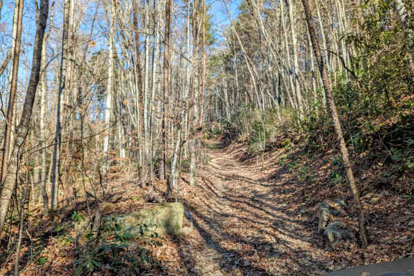 Walden's Ridge Bypass Trail 75a