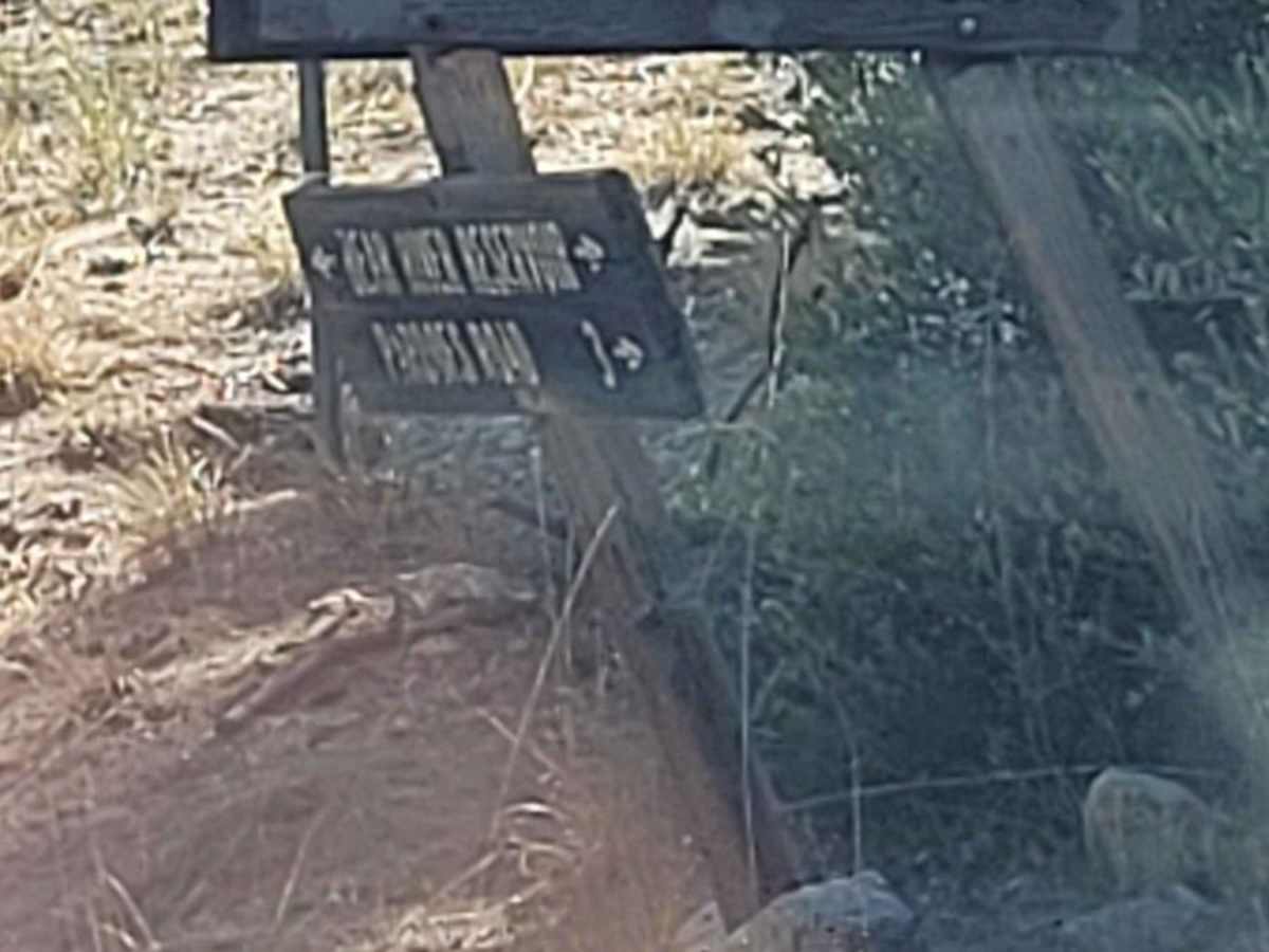 Tanglefoot Canyon trail photo