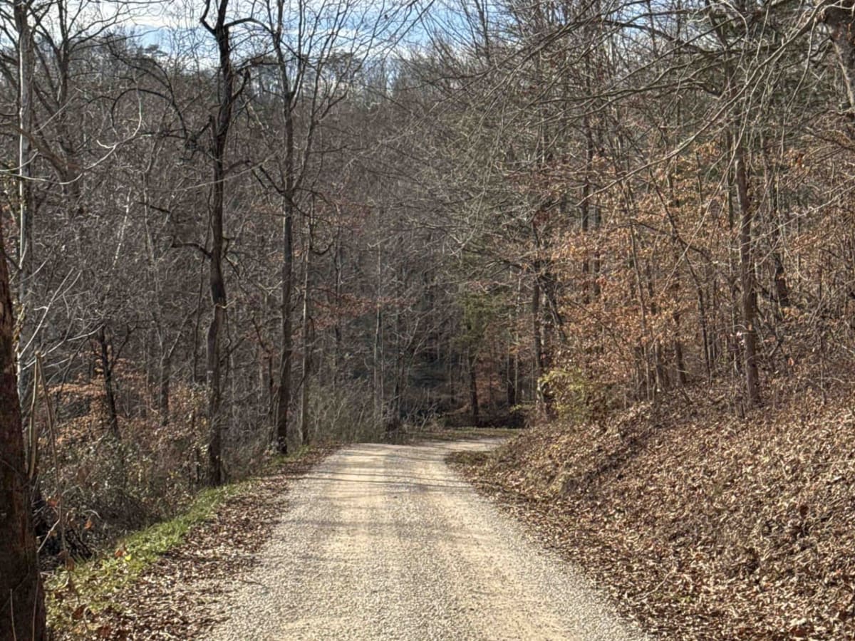 Todds Road photo 3