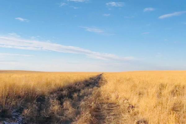 Idaho Centennial Trail