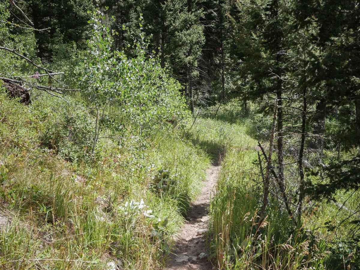 Kirkwood photo 6