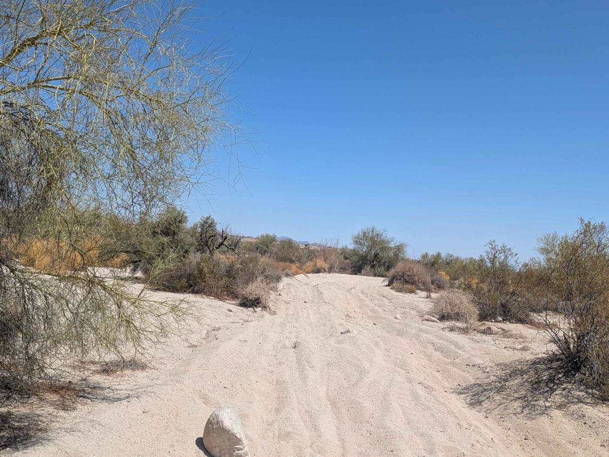 Sandtrap Wash photo 3