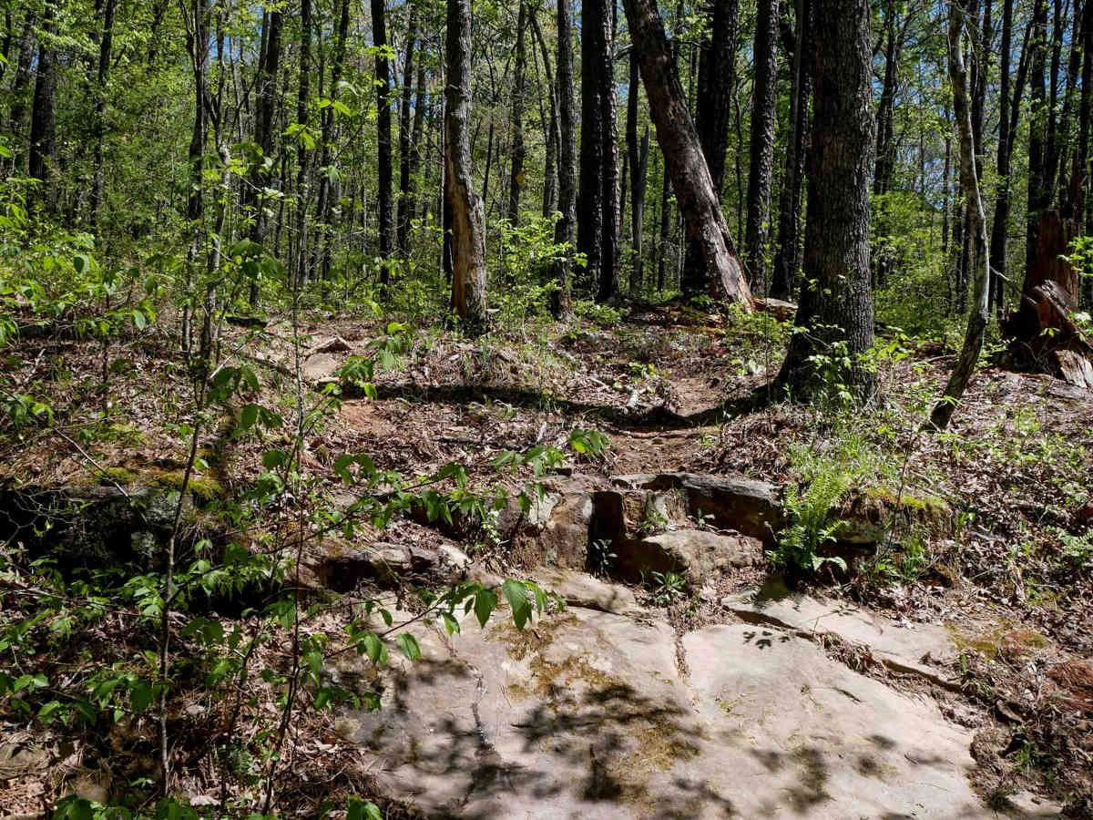 Brock 24 trail photo