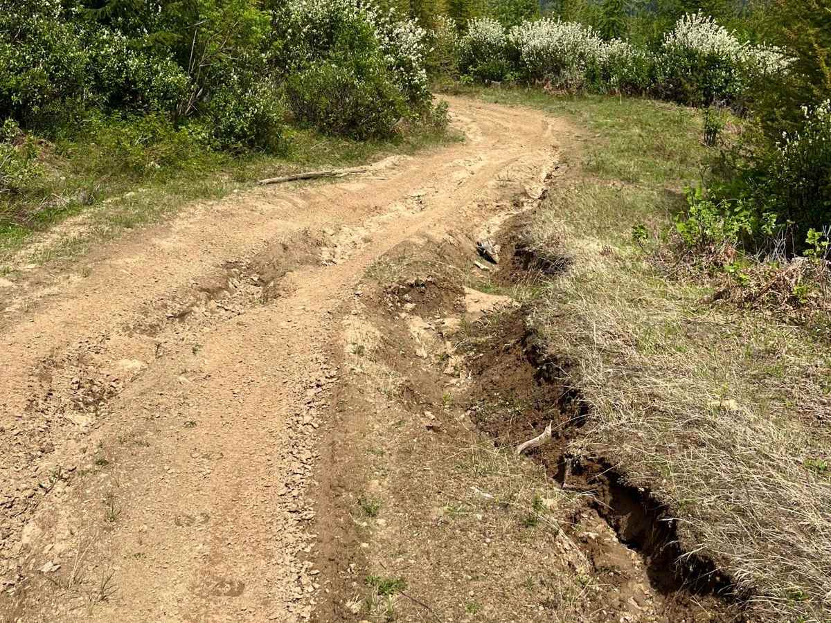 National Forest Development Road 3308 photo 5
