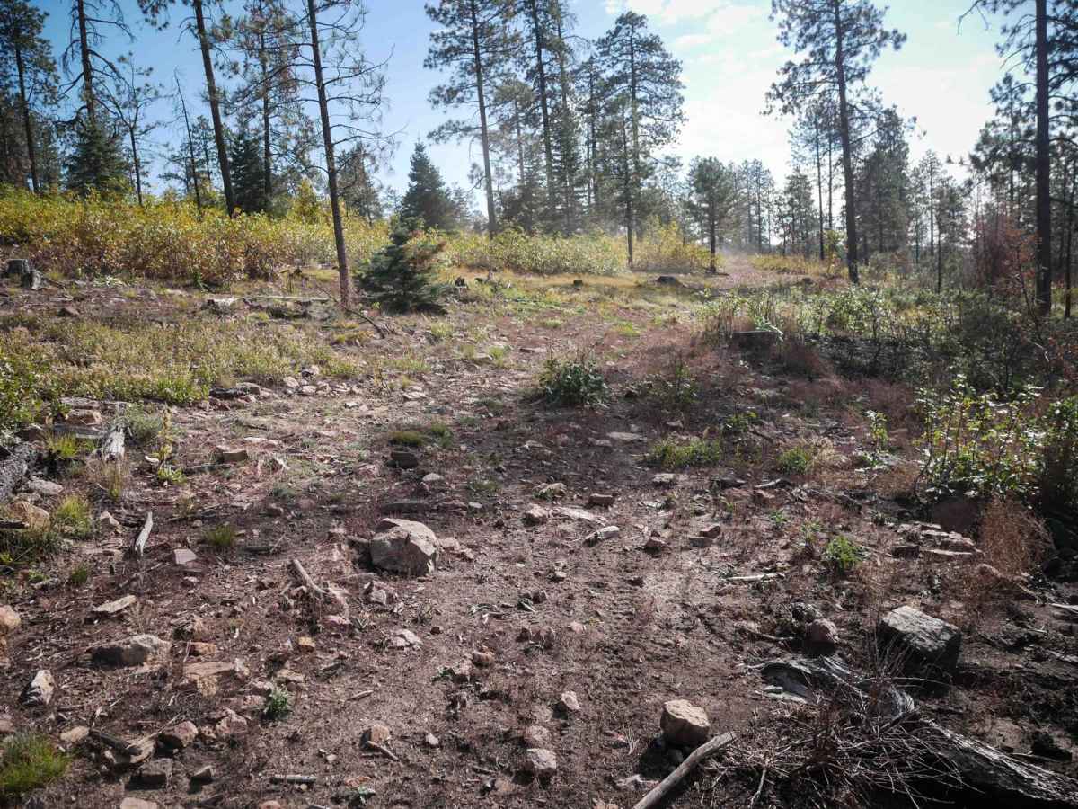 Arbogas Loop photo 5