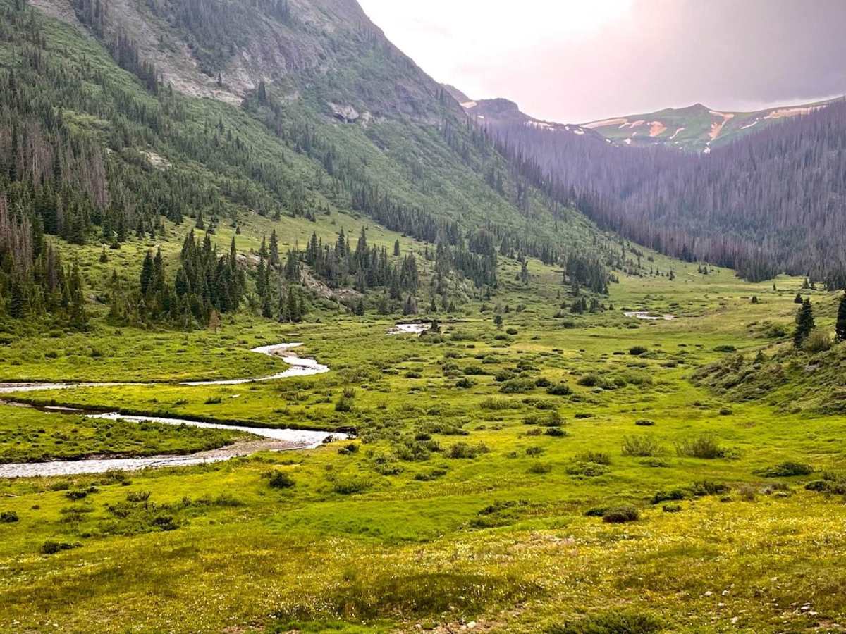 Treasure Creek - FSR 243 trail photo
