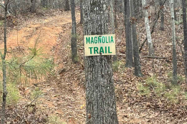 Magnolia Trail