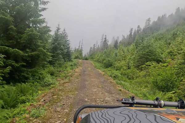 Old Hermit Spur Road - 50052