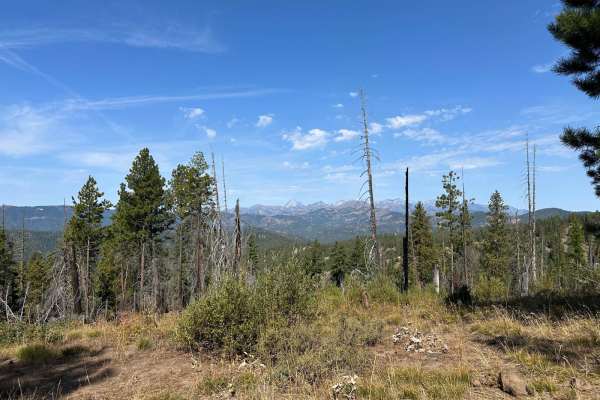 Veterans Trail