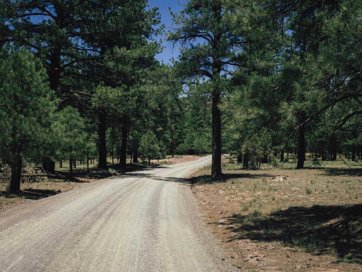 Frenchy Springs Road photo 2