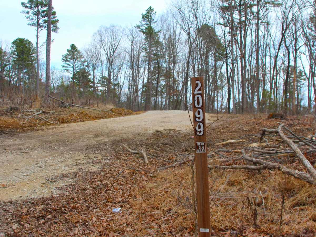 Boiling Ridge - FS 2099 trail photo