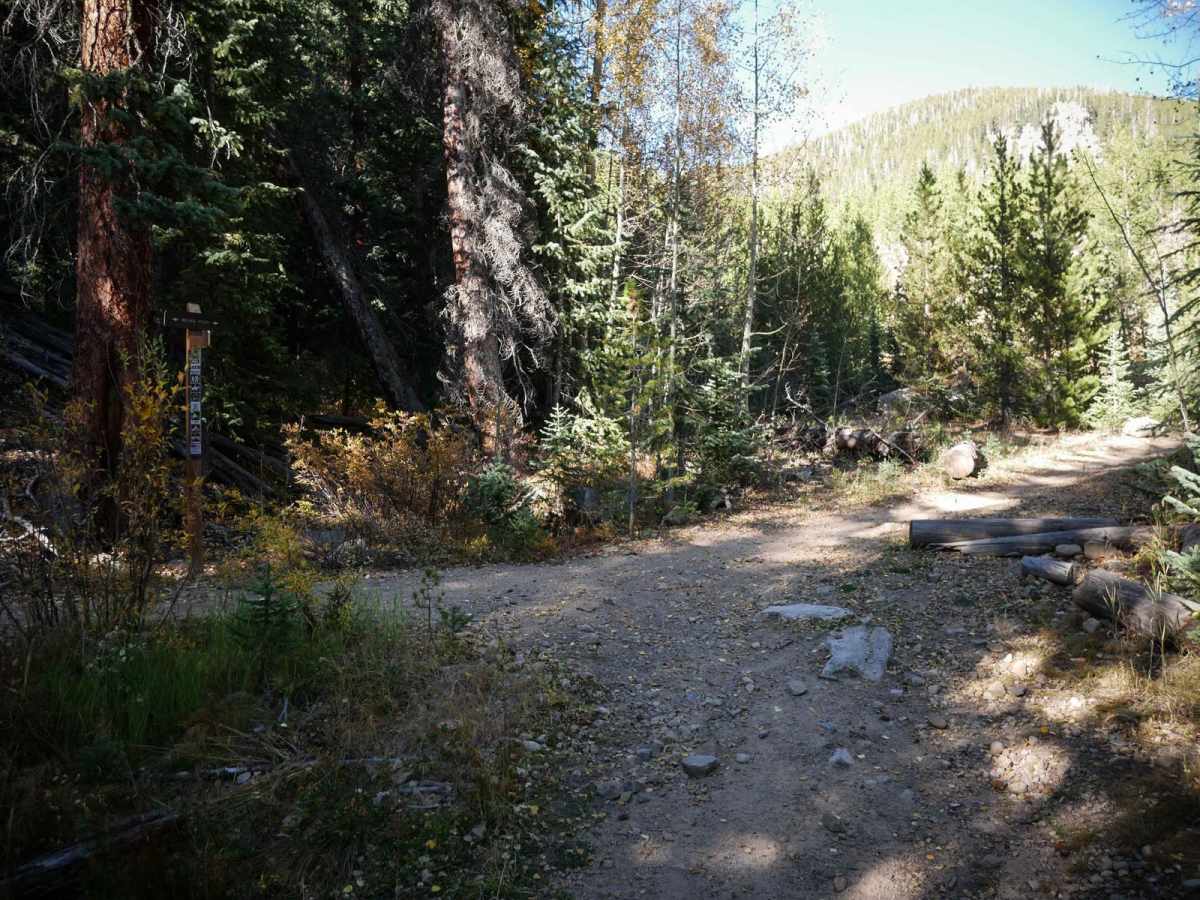 Knobby photo 6