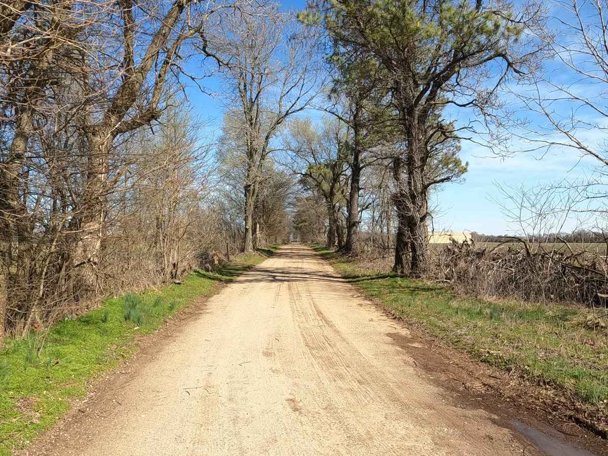 Scott County Road 405 photo 4