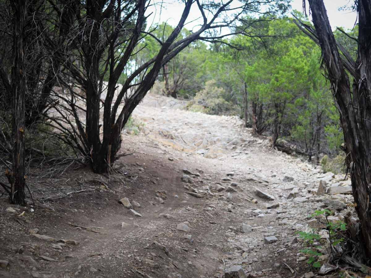 Wall's Way photo 4