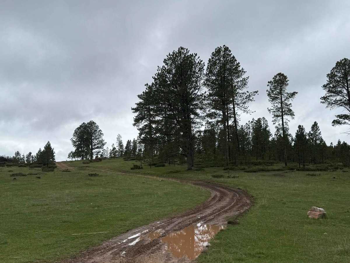 New Moon Loop photo 6