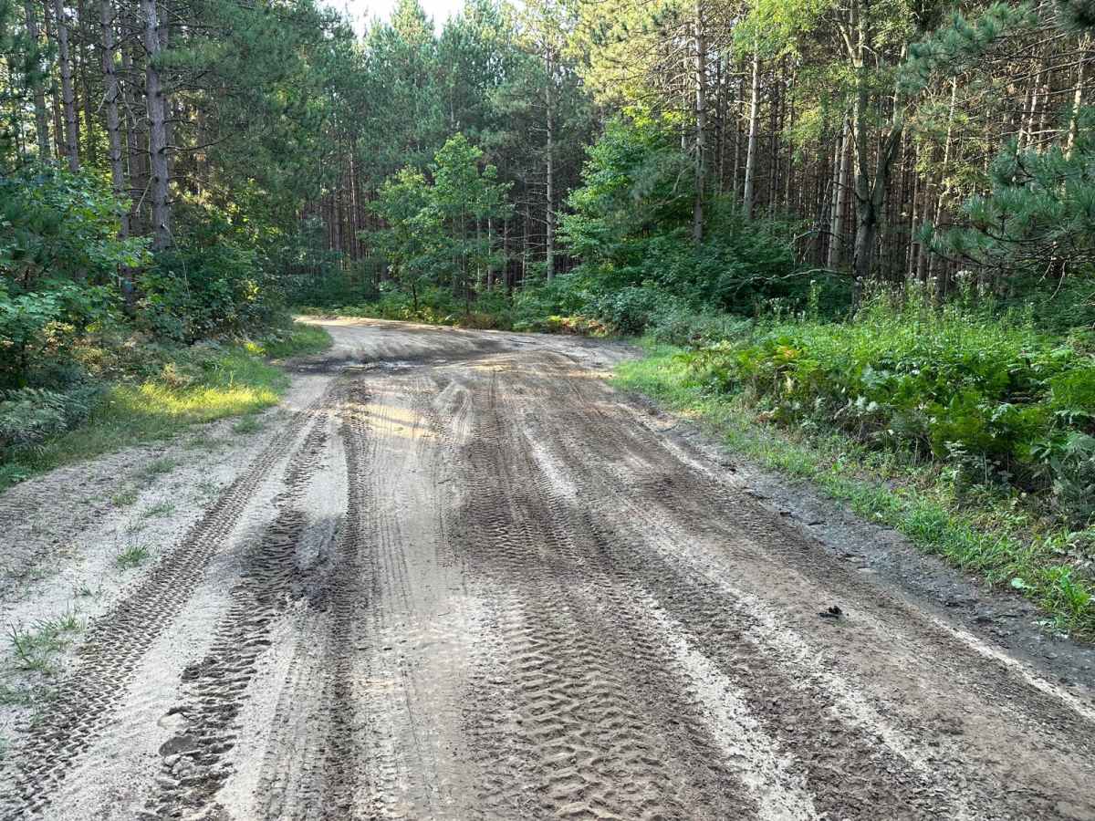 Lake Trail FS 6332 photo 4