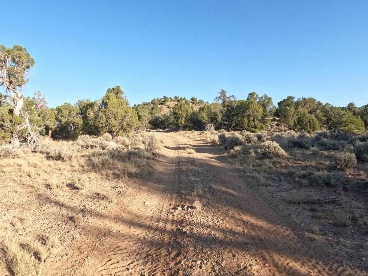 Waterline Connector - BLM10005 photo 5
