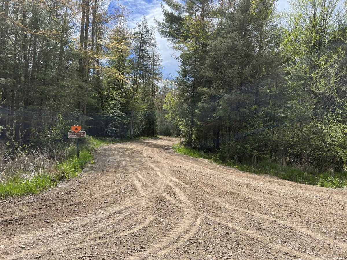 Starks Settlement Road Nicolet State Trail Access photo 2