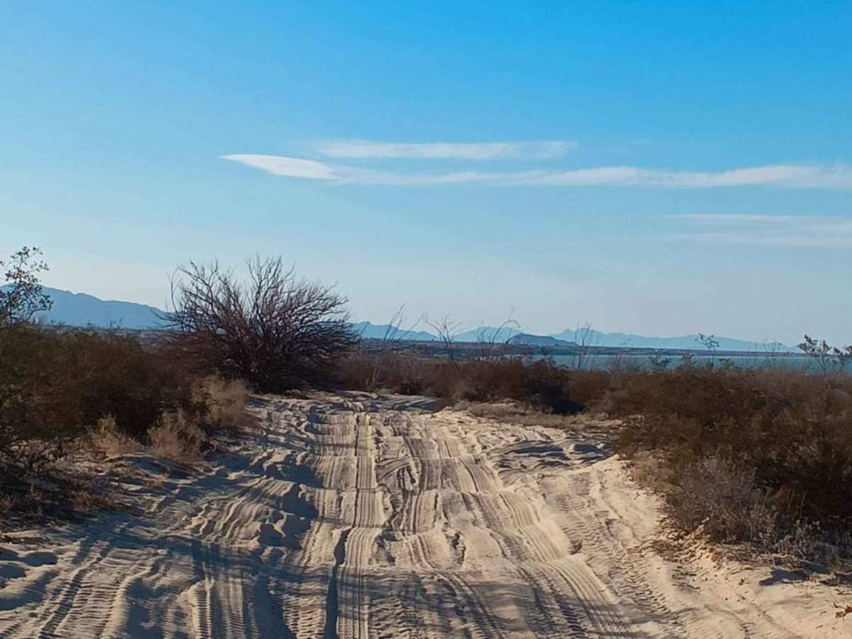 Coastal Whoop Run photo 2