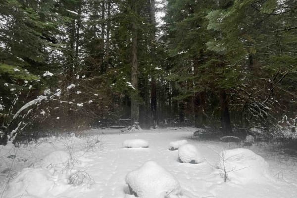 Carlson Creek Road