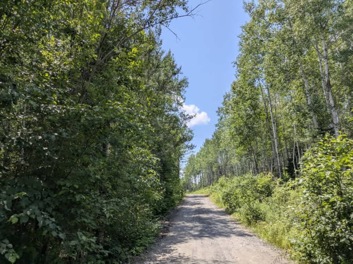 Birch Lake Access Road photo 6
