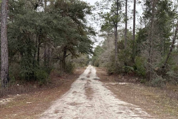 Tucker Road