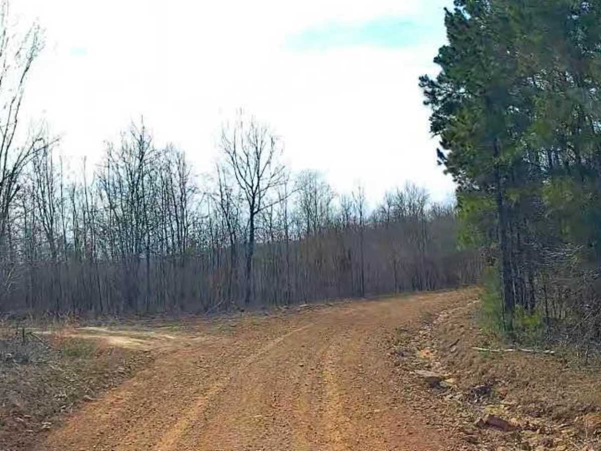 1424 Road trail photo