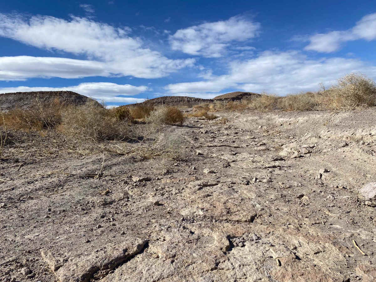 Kona's Crossing photo 4