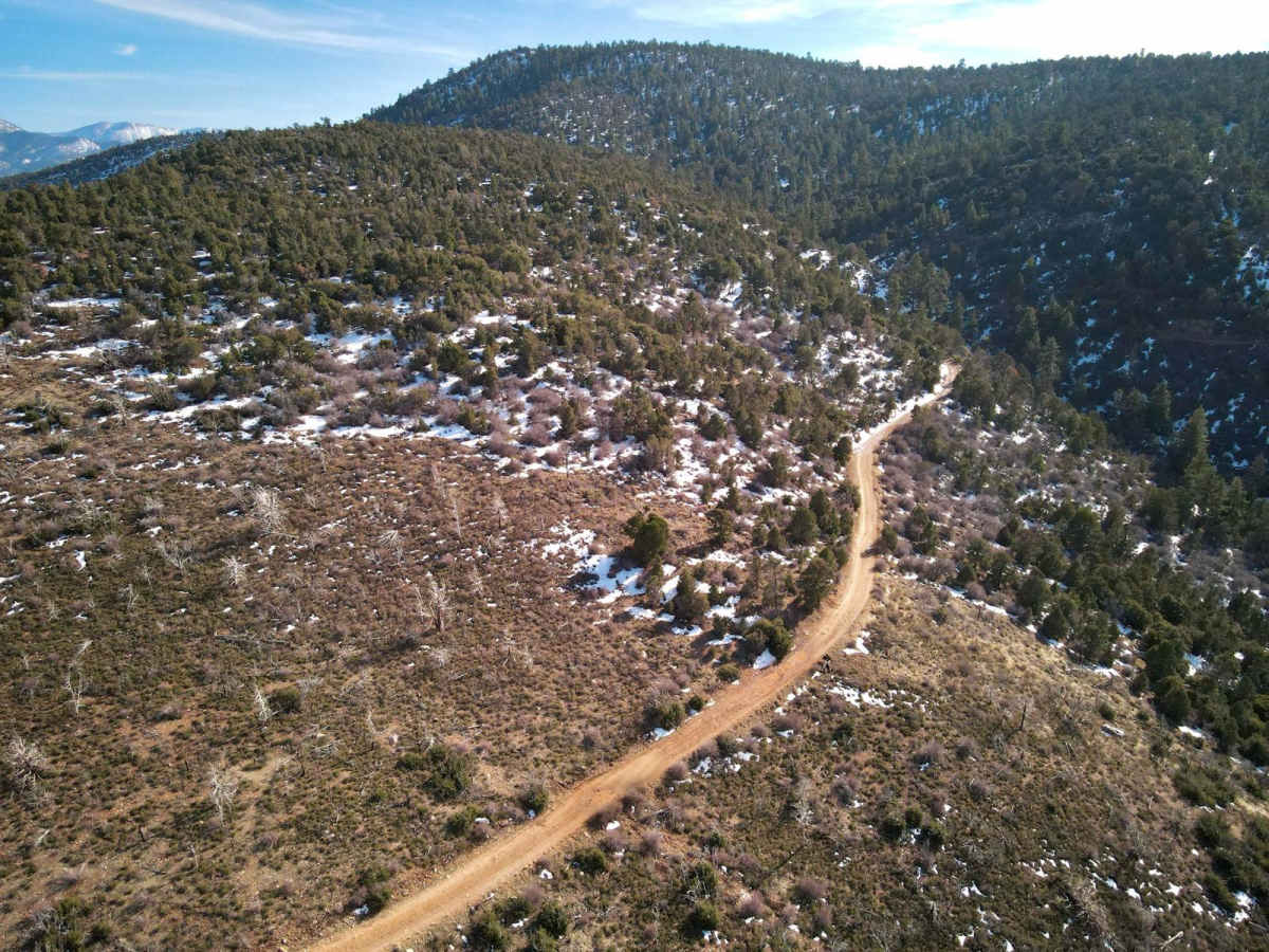 Holcomb Valley - 3N16 photo 5