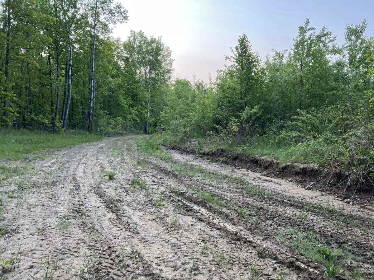 Murry Road photo 4