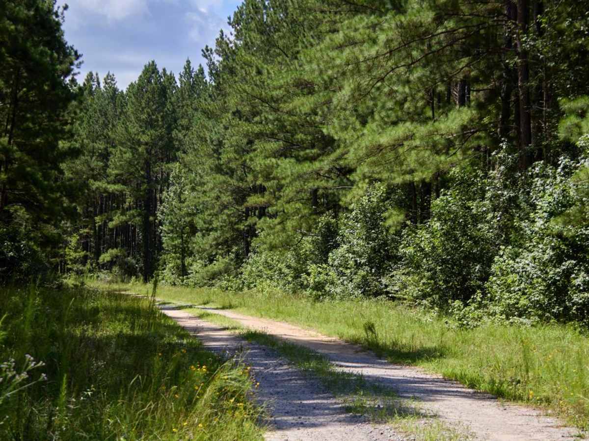Fowl Craw Lake Access trail photo
