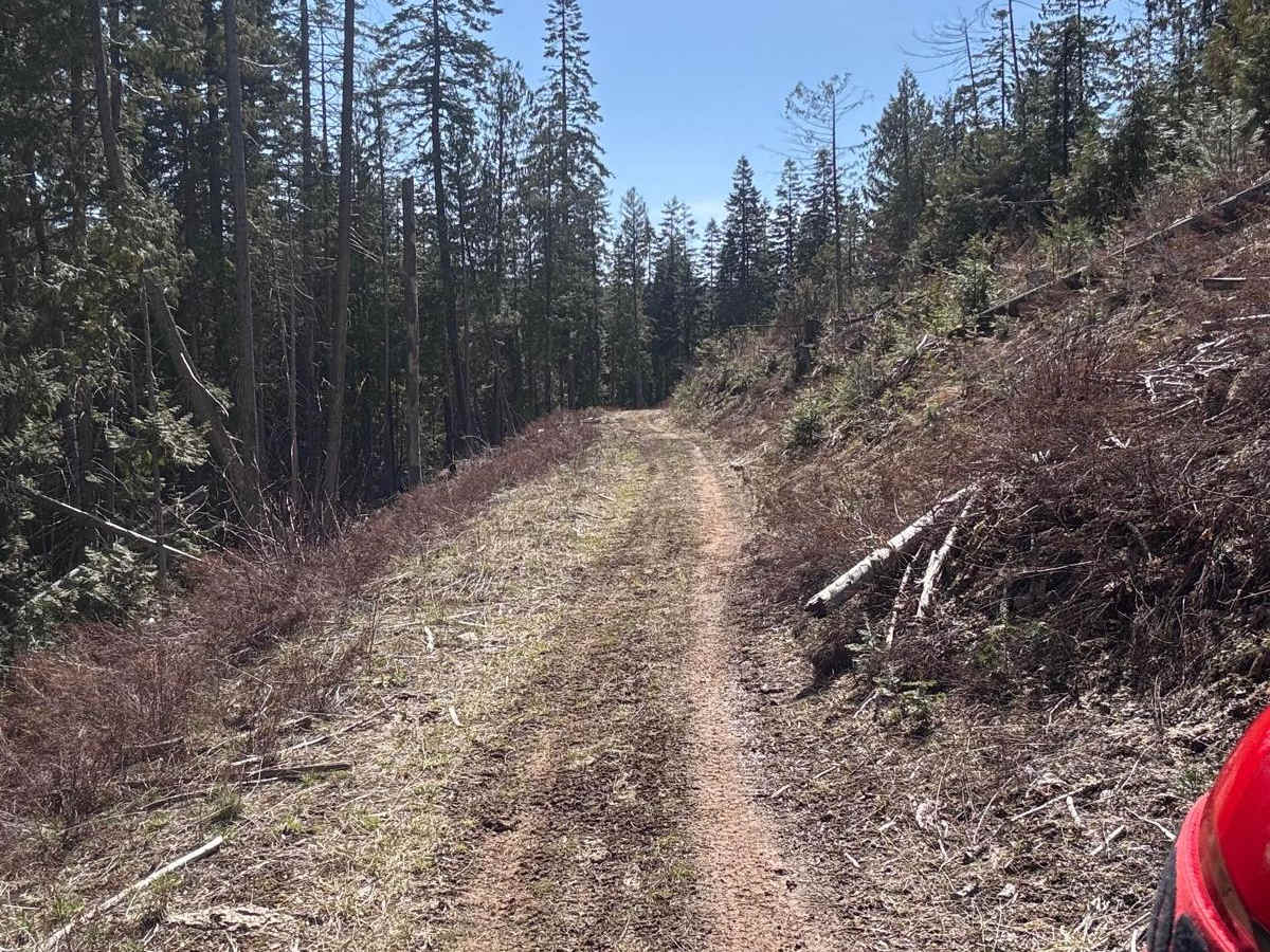 Korth Trail trail photo