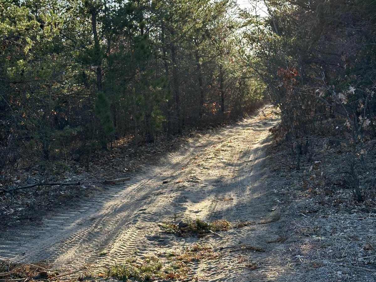 Fawn Road photo 4