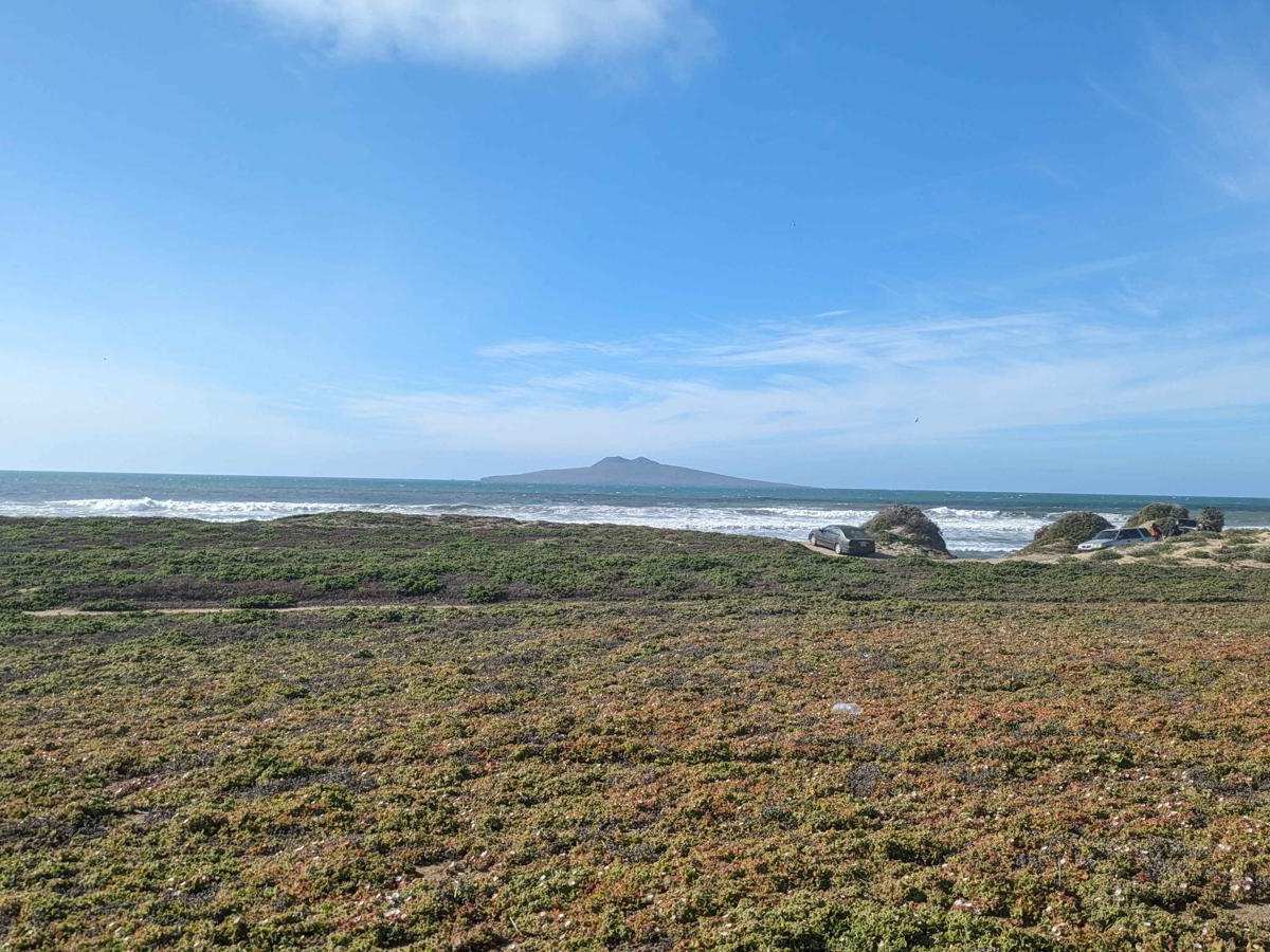 Playa San Ramon Beach Cruise trail photo