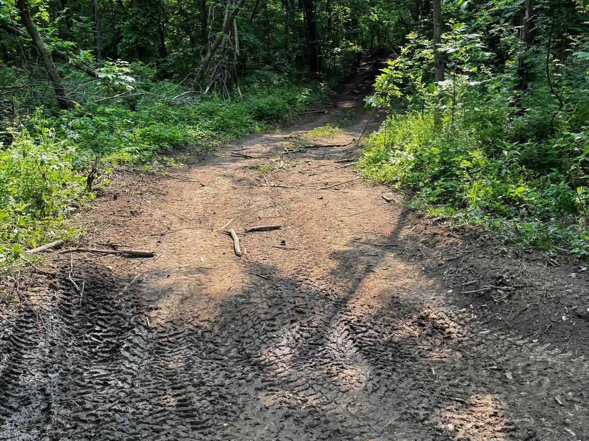 Green 128 trail photo
