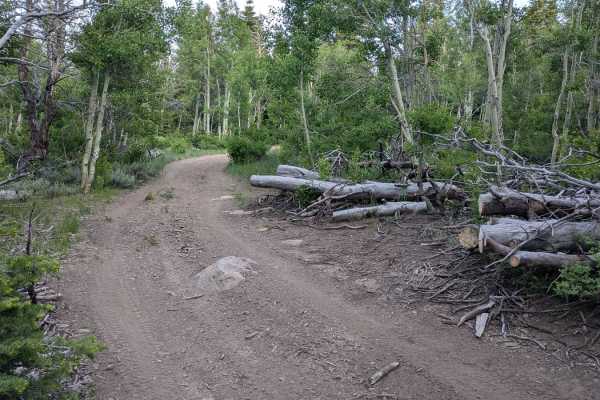 Big Springs East